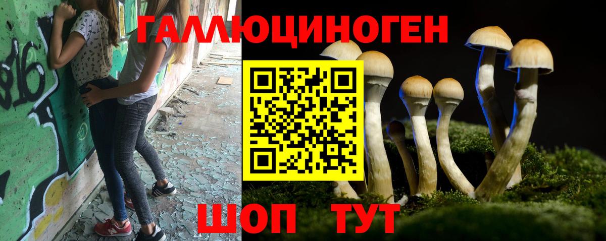Бахчисарай  Галлюциногенные грибы MAGIC MUSHROOMS  Вход с VPN 